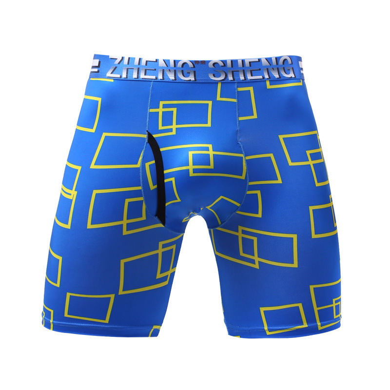 Heren Ondergoed Boxers Shorts  - Long Leg Trunk Men recensie en prijs