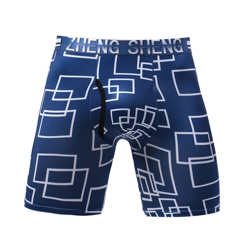 Heren Ondergoed Boxers Shorts  - Long Leg Trunk Men recensie en prijs